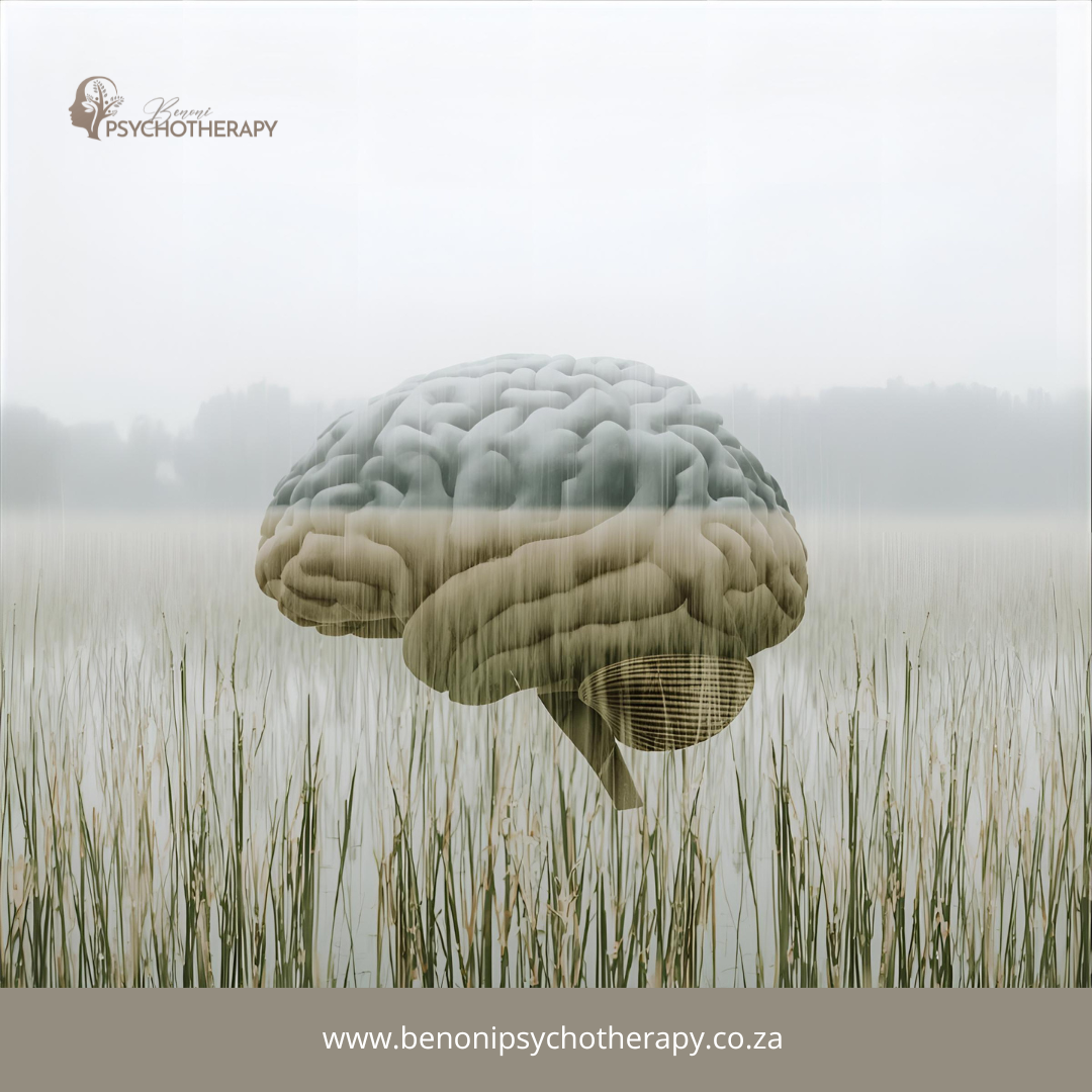 Psychodynamic therapy in Boksburg Psychodynamic therapy in Boksburg
