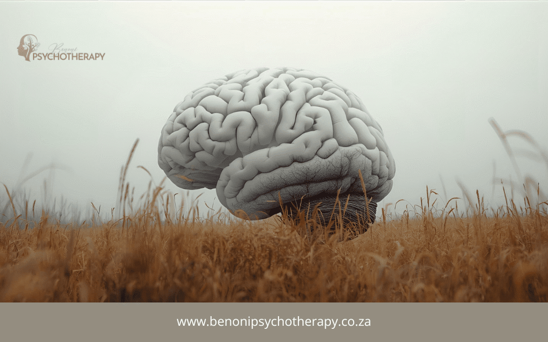 Therapy for depression in Northmead